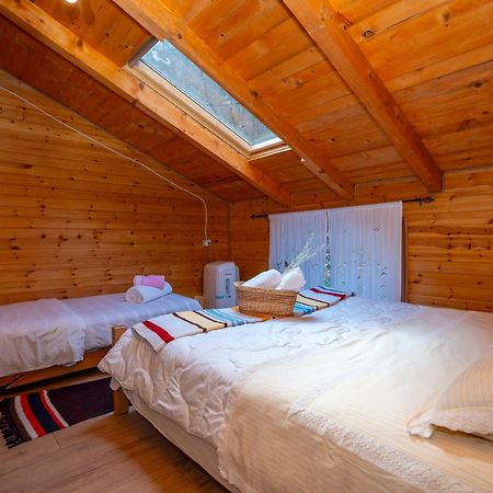 Bee Eco Guest House Moll' e Shoshit Extérieur photo