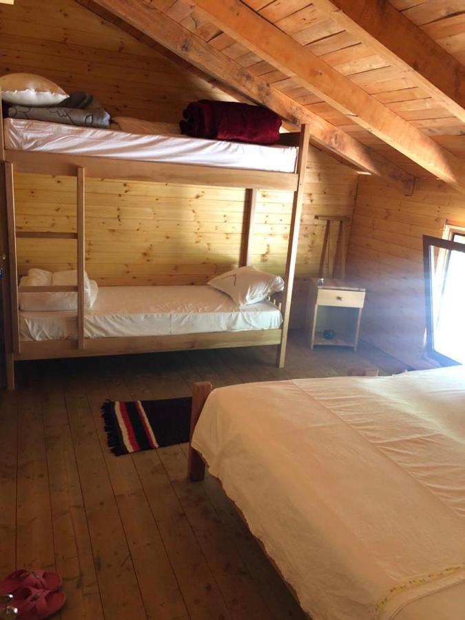 Bee Eco Guest House Moll' e Shoshit Extérieur photo