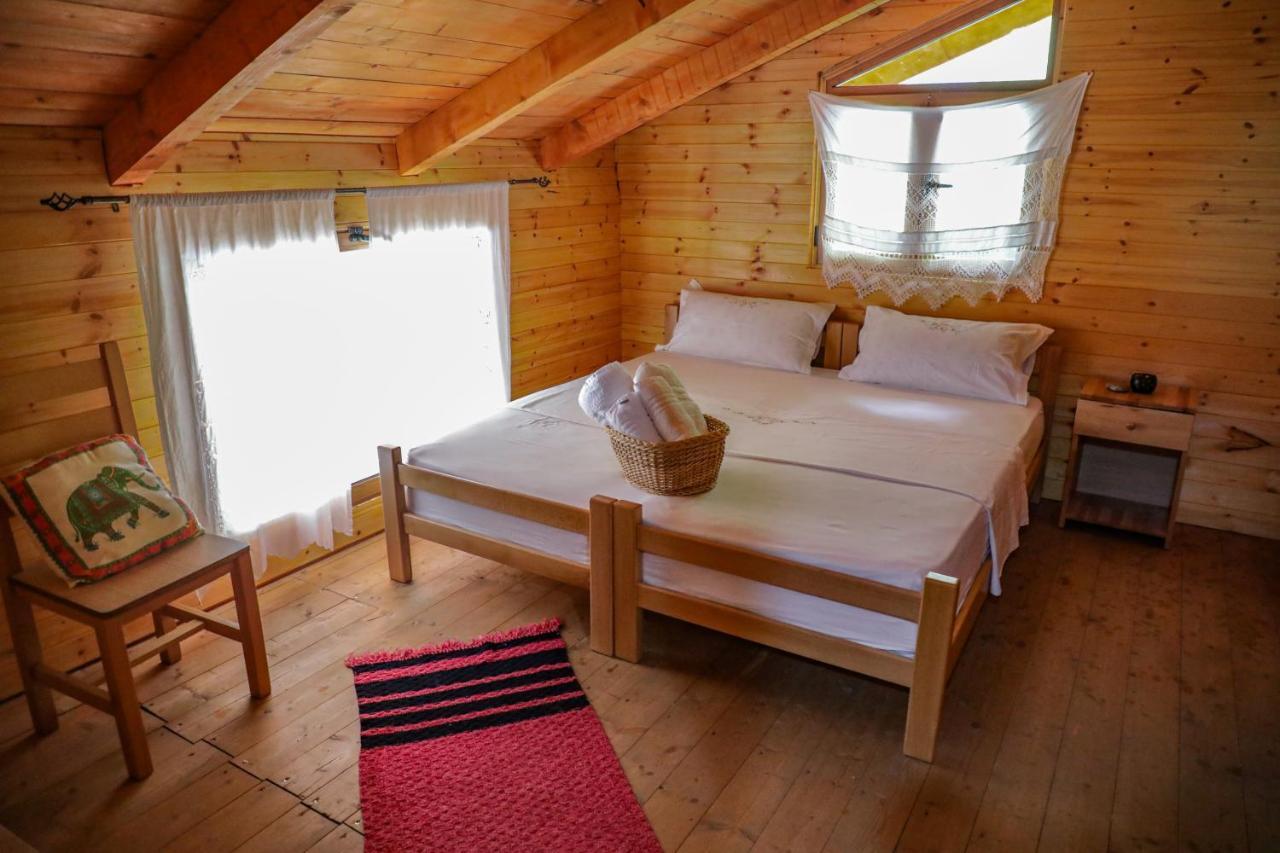 Bee Eco Guest House Moll' e Shoshit Extérieur photo