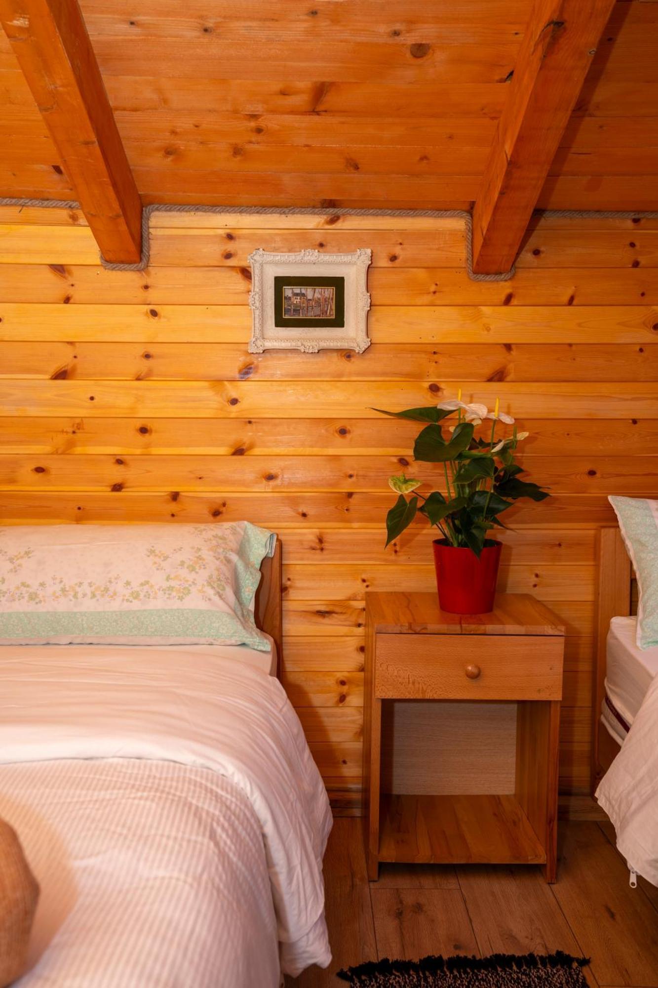 Bee Eco Guest House Moll' e Shoshit Extérieur photo