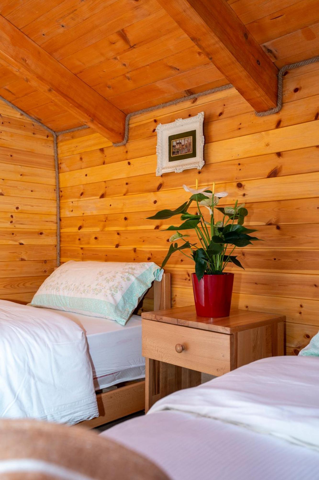 Bee Eco Guest House Moll' e Shoshit Extérieur photo